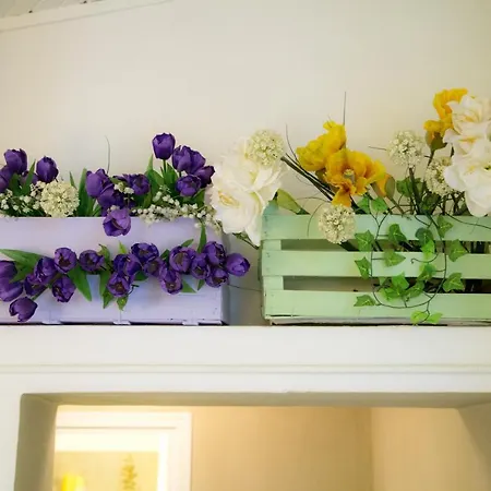 Appartement House Al Noce *